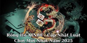 Rồng hổ XIN88